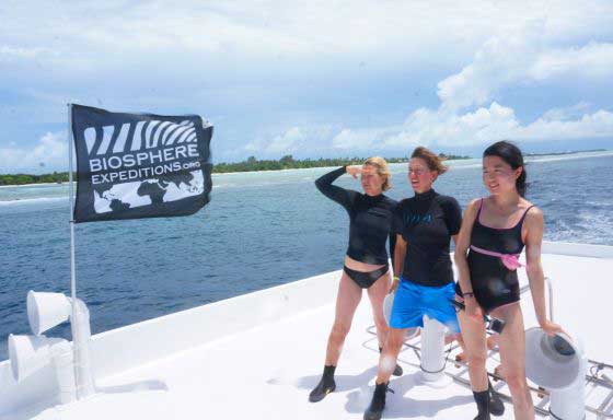 Looking for whale sharks